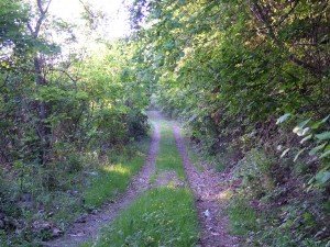 DSCF1178 (1)